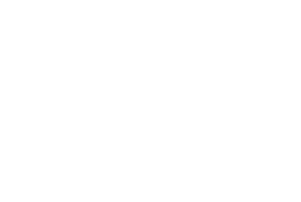 Logo Villasflamingos
